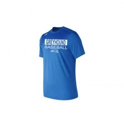 NEW BALANCE NORTH SURRY 2019 BASEBALL SHORT SLEEVE TEE