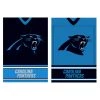 EVERGREEN Carolina Panthers Double Sided Jersey House Flag NFL