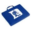 LOGO BRANDS DUKE BLEACHER CUSHION DUKE BLUE DEVILS