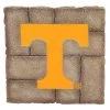 EVERGREEN NCAA Tennessee Vols Team Stepping Stone