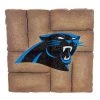 EVERGREEN Carolina Panthers Team Stepping Stone
