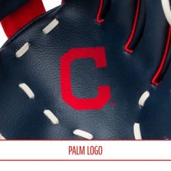 FRANKLIN Cleveland Indians MLB® Team Glove And Ball Set
