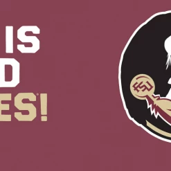 TERVIS Florida State Seminoles Life Is Good® Wrap With Travel Lid NCAA