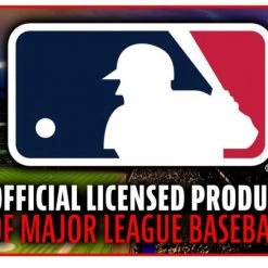 FRANKLIN Tampa Bay Rays MLB® Team Glove And Ball Set