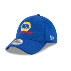 NEW ERA Hendrick Motorsports Driver 39Thirty Stretch Fit