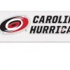 Wincraft Carolina Hurricanes Perfect Cut Color Decal 3” X 10”