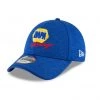 NEW ERA Hendrick Motorsports Driver 9Forty Adjustable NCAA