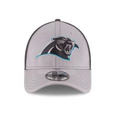 Carolina Panthers New Era Team Neo 3930 Hat
