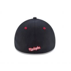 Washington Nationals New Era Kids (toddler) Team Classic Alt Hat