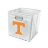 FRANKLIN Tennessee Vols Gamecocks Collapsible Storage Bins NCAA