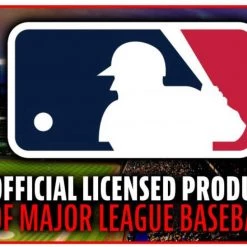 FRANKLIN Texas Rangers MLB® Team Glove And Ball Set