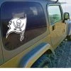 Wincraft Tampa Bay Buccaneers Hugh 17 X 17 Decal