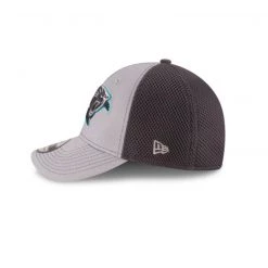 Carolina Panthers New Era Team Neo 3930 Hat