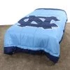 College Covers NCAA North Carolina Tar Heels 2 Sided TWIN Big Logo Light Comforter